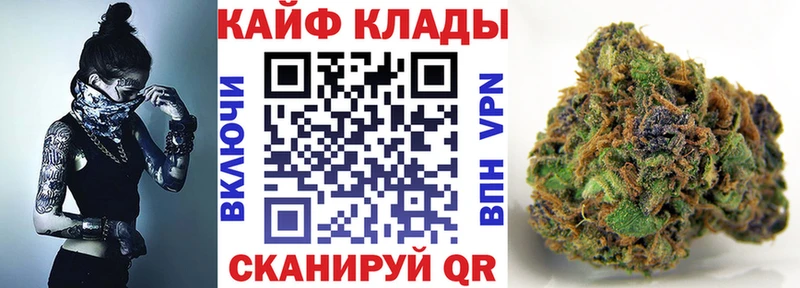 Купить наркоту Пионерский Alpha PVP  Cocaine  АМФЕТАМИН  МЕТАМФЕТАМИН  Конопля  ГАШ  Меф 