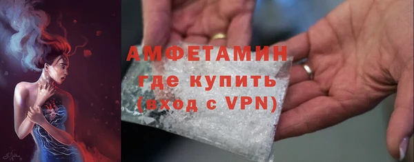 прущий лед Богданович