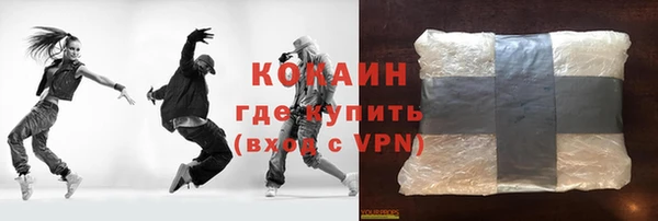 прущий лед Богданович