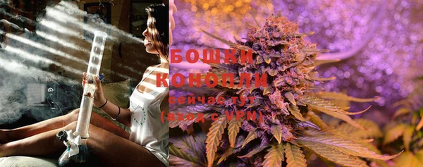 прущий лед Богданович