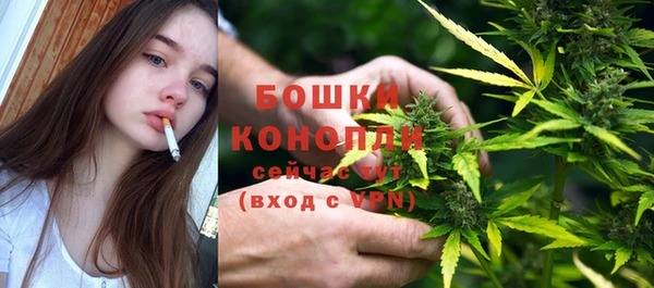 прущий лед Богданович