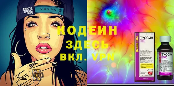 прущий лед Богданович