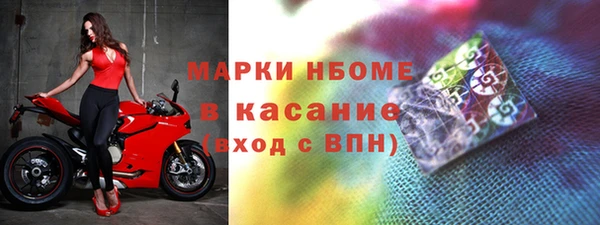 прущий лед Богданович