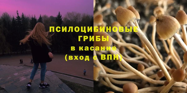 прущий лед Богданович