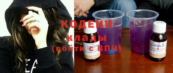 прущий лед Богданович
